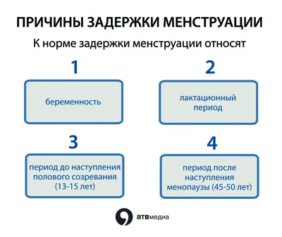 Месячные — твоё личное приключение! - купить книгу в интернет-магазине  Самокат