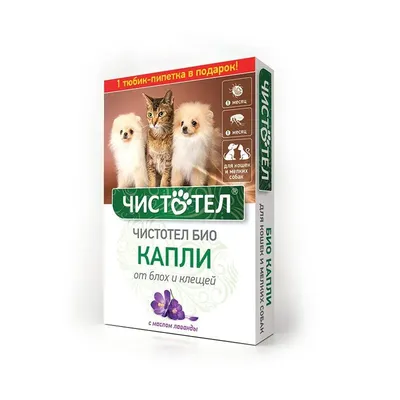 В Санкт-Петербурге появился первый банк крови для собак