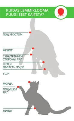 Признаки и способы лечения подкожного клеща у собак | Zoohub