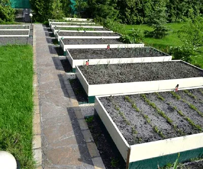 Металлические грядки. Все за и против после 4-х лет использования | Home  garden handmade | Дзен