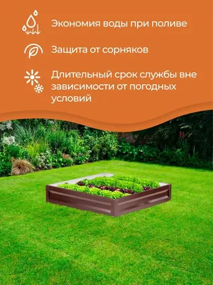 Организуйте эффективный сад с металлической двойной грядкой