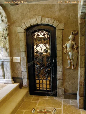 Кованые, входные металлические двери в г. Львов - ArtStyle