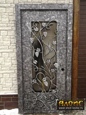 Кованые двери с порошковым напылением ДПН-03 на заказ от производителя в  Москве