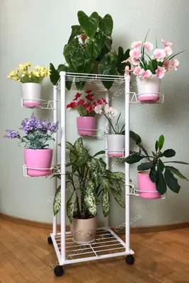 Металлические подставки для растений, 4 слоя, замкнутая рукоятка, подставка  для цветов, модели металлических цветочных горшков WD217 | AliExpress