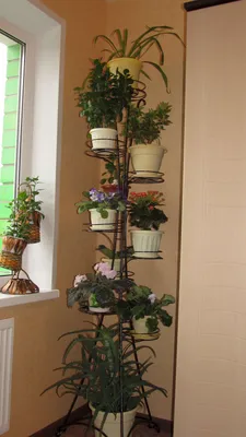 Вертикальная подставка | Декор из растений, Подставки под цветы, Стенды  растений