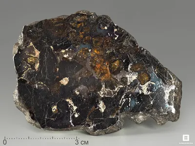 Метеориты с окаменелыми микроорганизмами исследуют в ОИЯИ | Объединенный  институт ядерных исследований