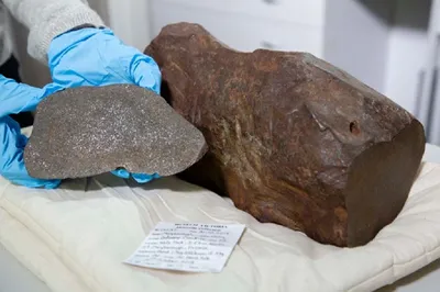 Уникальный метеорит подтвердил гипотезу об астероидном происхождении воды  на Земле