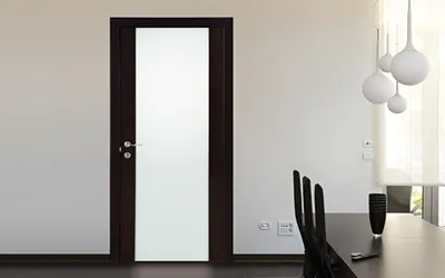 Стеклянная дверь серии Альфа 1
