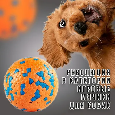 Mr.Kranch игрушка для собак Мяч с лапкой, неоново-желтый, 8 см - купить в  Москве | КотМатрос