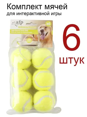 Гамма игрушка-мяч \"Гуляй-играй\" для собак – Игрушки для собак