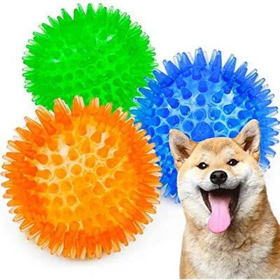 Игрушка мячик с веревкой для собак Trixie, 1 шт, 6 см купить по низким  ценам в интернет-магазине Uzum