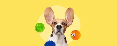 265₽ - Игрушка для собак Triol из термопласт. резины \"Мяч-лапки\", d70мм -  купить в Набережных Челнов