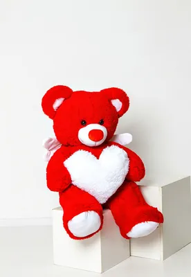 Бесплатные изображения мягких игрушек медведей