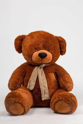 Фото медведей в формате jpg для коллекции игрушек