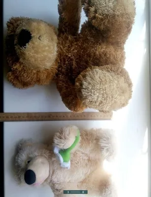 Коллекционные медвежьи игрушки: фото и картинки