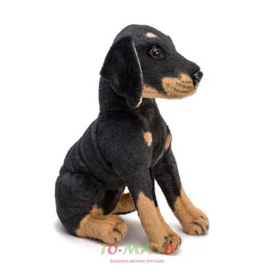 Мягкая игрушка \"Чёрная собака\", 28 см. купить в интернет магазине Растишка  в Тамбове