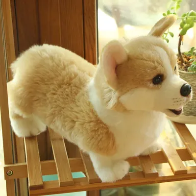 Мягкая игрушка собака Хаски Husky 26см – купить в интернет-магазине Мир  Игрушек в Алматы