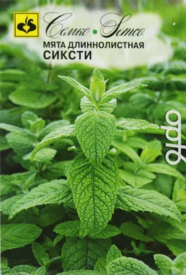 Семена мяты длиннолистной, 0.05 г, Hem, Голландия, семена Леда Агро арт.  45258 – купить за 12 грн. в интернет-магазине Лето 🌿