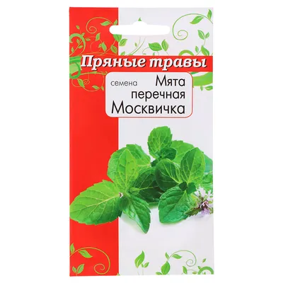 Мята колосистая Abura - Мята - GardenPlants