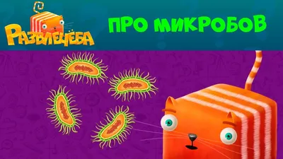 Книга \"Про микробы. Для детей от 2-х лет\" Дэйнес К - купить книгу в  интернет-магазине «Москва» ISBN: 978-5-4366-0496-1, 943551