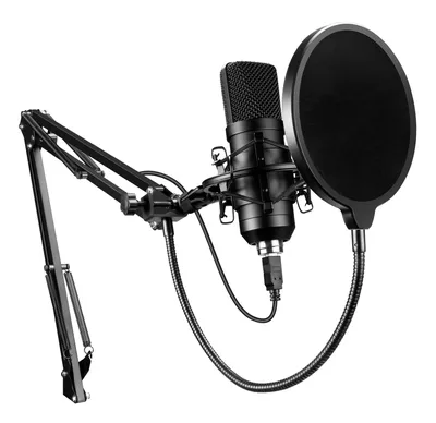 Вокальный микрофон Shure 55SH Series II за 25060 руб; Микрофоны в магазине  электронных инструментов и оборудования Music Land