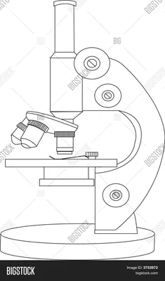 Обзор BRESSER LCD 50x–2000x. Мощный цифровой микроскоп с дисплеем 3,5 дюйма.