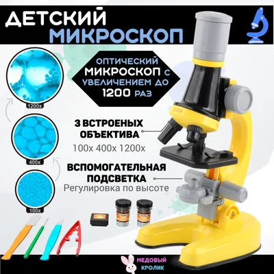 Микроскоп биологический Микромед 2 (2-20 inf.) купить за 51 770 руб. в  магазине Планетарий. Розничный магазин и доставка.