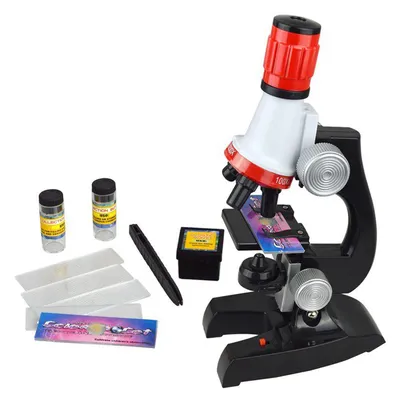 Микроскоп школьный С-12 Микромед 53324448 купить за 7 233 ₽ в  интернет-магазине Wildberries