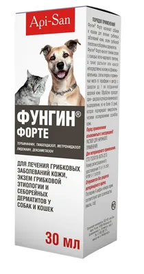 Грибок у собаки, бесплатная консультация ветеринара - вопрос задан  пользователем Марина Гайдукова про питомца: собака Акита