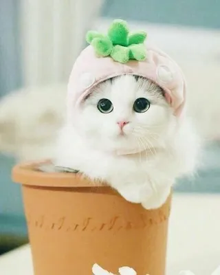 Блок с липким краем \"Милашные стикеры\" , + ручка, чёрные листы 4131995 |  AliExpress