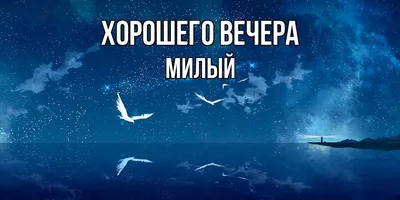 Милый! Доброго зимнего вечера! Красивая открытка для Милого! Гифка с розой,  бабочкой и горячим вкусным чаем.