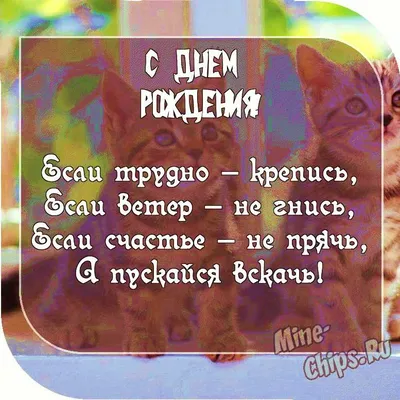 Уличная спортивная толстовка с капюшоном, черно-белая толстовка с принтом «милые  парни» | AliExpress