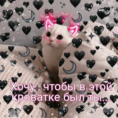 https://urokide.ru/hello-kitty-dlya-srisovki-ochen-legkie-i-krasivye