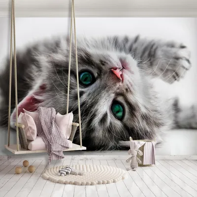 Милые котики в шапочках рисунки - 71 фото