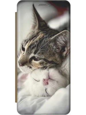 Попсокет - подставка (держатель для телефона) с принтом \"Милые котики\"  белый - купить с доставкой по выгодным ценам в интернет-магазине OZON  (629053615)
