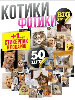 Тетрадь с котиками PAPPI STORE (5 шт.) - Милые котики Sweet cats - в клетку  24 листа, матовая обложка | AliExpress