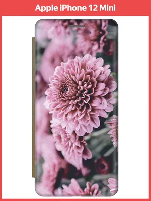 Прекрасный цветок - Георгины. Обсуждение на LiveInternet - Российский  Сервис Онлайн-Дневников