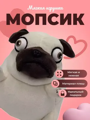 мини мопс