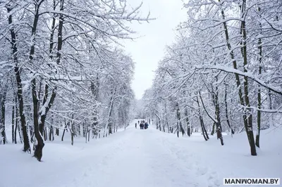 БелНовости - Минск, зима ❤️ 📷@ludmilakovaleva777 | Facebook