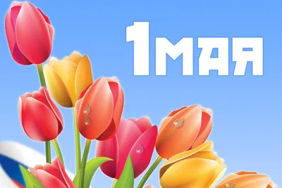 Мир! Труд! Май! Типография. Праздник Весны и Труда 1 мая. | Плакат,  Открытки, Рисунки