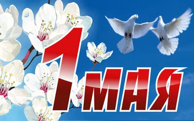 МИР! ТРУД! МАЙ! — События — Подшипник-Сервис ДВ