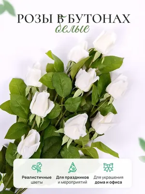 THEROSE | Мишка из Роз Оптом Опт | Медведь | | ВКонтакте