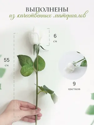 Какие есть букеты роз, виды роз, цвет, цена, какие розы идут в букет