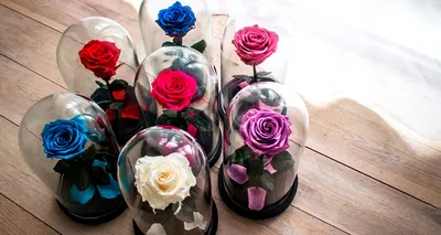 Vip-Rose.ru