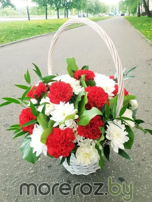 мишка из цветов китай кладбище｜TikTok Search