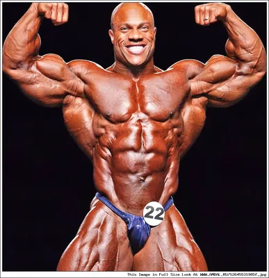 Мистер Олимпия 2011, Фил Хит (Phil Heath), бодибилдинг, результаты  соревнований, таблица, фотографии, статистика, участники, победитель,  галерея