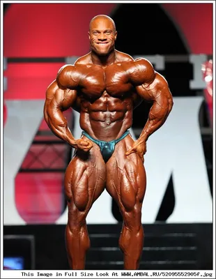 Мистер Олимпия 2011, Фил Хит (Phil Heath), бодибилдинг, результаты  соревнований, таблица, фотографии, статистика, участники, победитель,  галерея