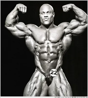 Мистер Олимпия 2011, Фил Хит (Phil Heath), бодибилдинг, результаты  соревнований, таблица, фотографии, статистика, участники, победитель,  галерея