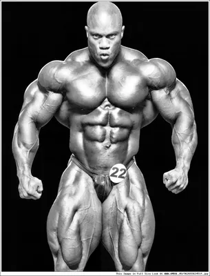 Мистер Олимпия 2011, Фил Хит (Phil Heath), бодибилдинг, результаты  соревнований, таблица, фотографии, статистика, участники, победитель,  галерея