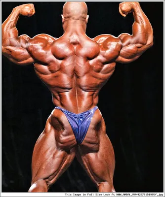 Мистер Олимпия 2011, Фил Хит (Phil Heath), бодибилдинг, результаты  соревнований, таблица, фотографии, статистика, участники, победитель,  галерея